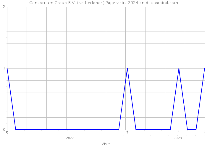 Consortium Group B.V. (Netherlands) Page visits 2024 