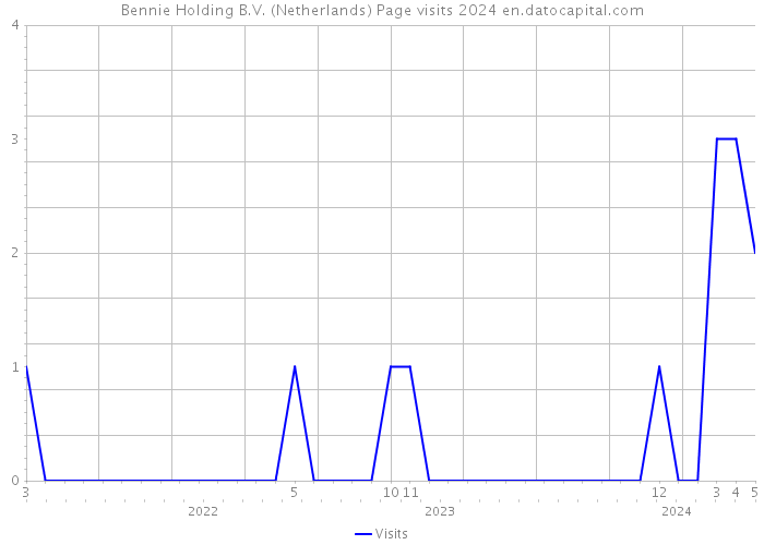 Bennie Holding B.V. (Netherlands) Page visits 2024 