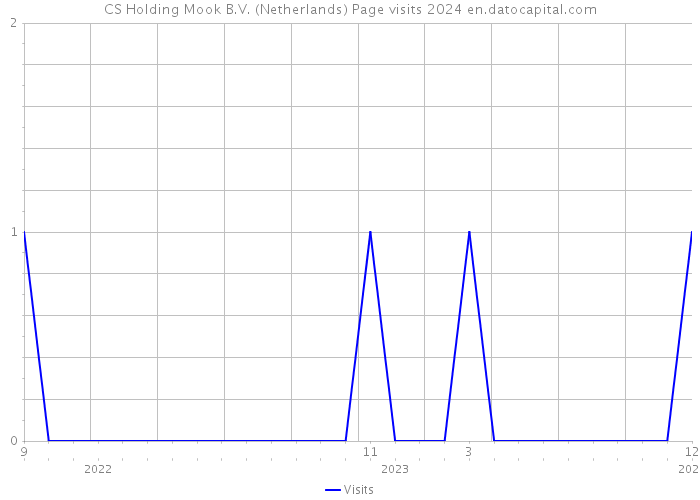 CS Holding Mook B.V. (Netherlands) Page visits 2024 