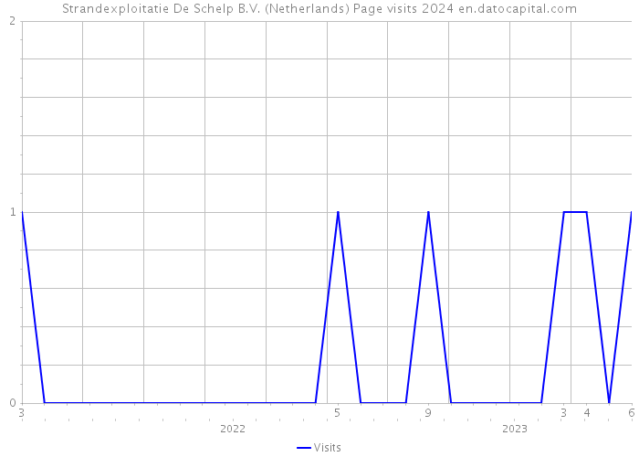 Strandexploitatie De Schelp B.V. (Netherlands) Page visits 2024 