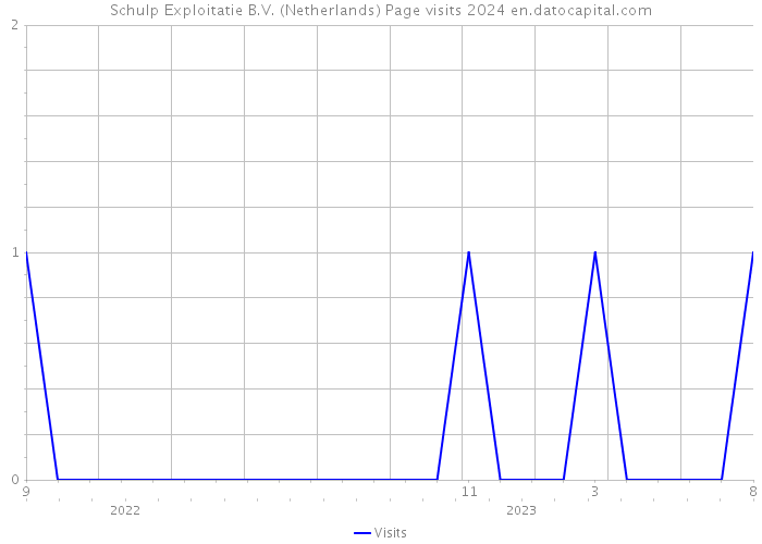 Schulp Exploitatie B.V. (Netherlands) Page visits 2024 