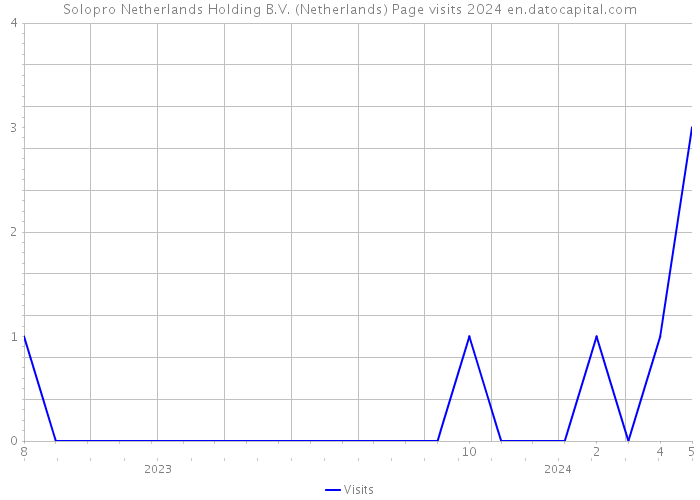 Solopro Netherlands Holding B.V. (Netherlands) Page visits 2024 