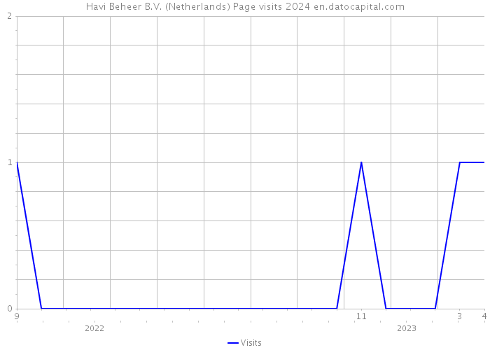 Havi Beheer B.V. (Netherlands) Page visits 2024 