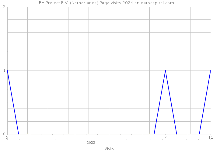 FH Project B.V. (Netherlands) Page visits 2024 