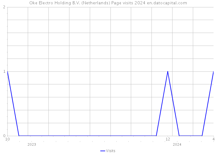 Oke Electro Holding B.V. (Netherlands) Page visits 2024 
