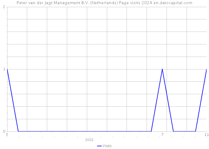 Peter van der Jagt Management B.V. (Netherlands) Page visits 2024 