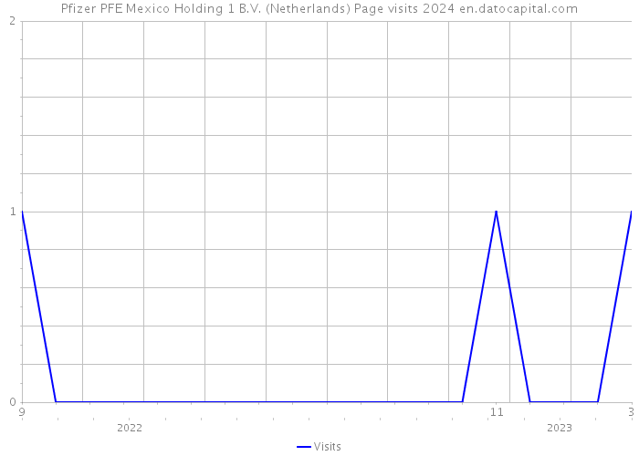 Pfizer PFE Mexico Holding 1 B.V. (Netherlands) Page visits 2024 