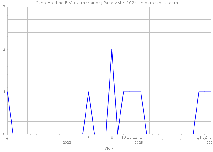 Gano Holding B.V. (Netherlands) Page visits 2024 