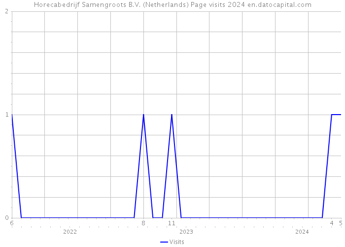 Horecabedrijf Samengroots B.V. (Netherlands) Page visits 2024 