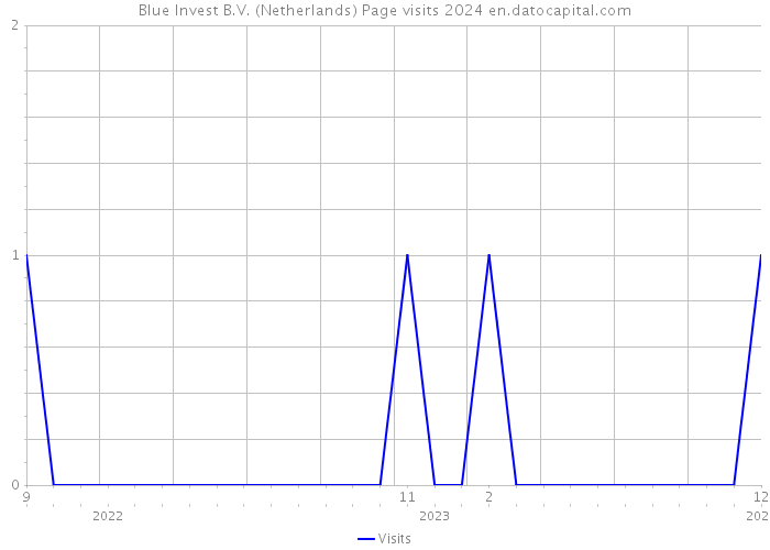 Blue Invest B.V. (Netherlands) Page visits 2024 