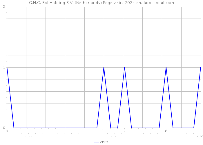 G.H.C. Bol Holding B.V. (Netherlands) Page visits 2024 