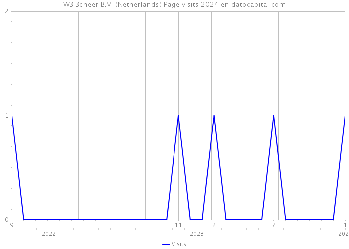 WB Beheer B.V. (Netherlands) Page visits 2024 