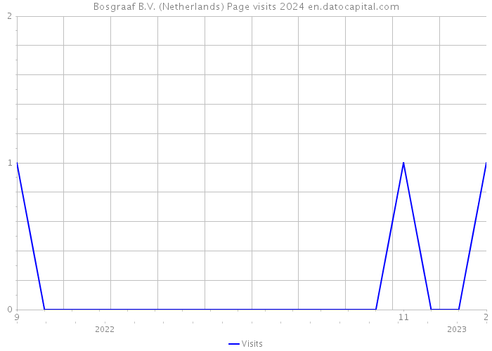 Bosgraaf B.V. (Netherlands) Page visits 2024 