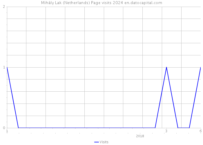 Mihály Lak (Netherlands) Page visits 2024 
