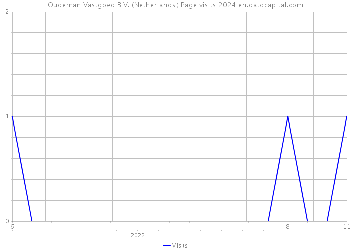 Oudeman Vastgoed B.V. (Netherlands) Page visits 2024 