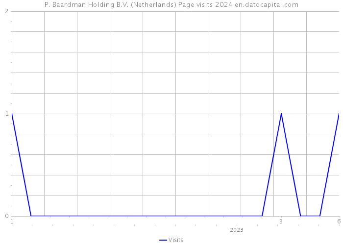 P. Baardman Holding B.V. (Netherlands) Page visits 2024 
