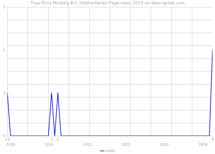 True Price Holding B.V. (Netherlands) Page visits 2024 