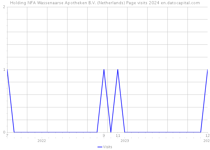Holding NFA Wassenaarse Apotheken B.V. (Netherlands) Page visits 2024 