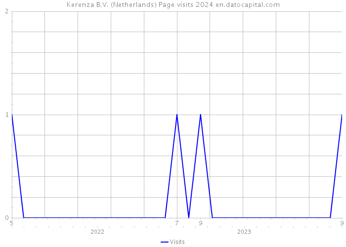 Kerenza B.V. (Netherlands) Page visits 2024 