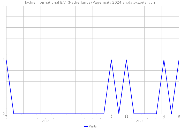 Jochie International B.V. (Netherlands) Page visits 2024 