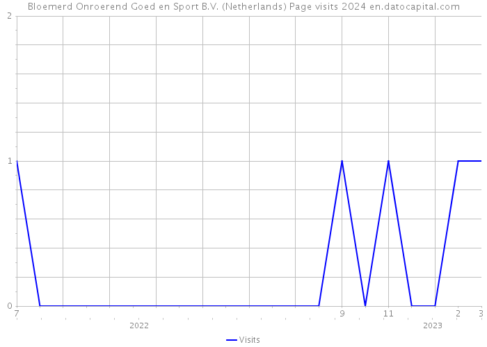 Bloemerd Onroerend Goed en Sport B.V. (Netherlands) Page visits 2024 