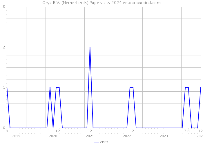 Oryx B.V. (Netherlands) Page visits 2024 