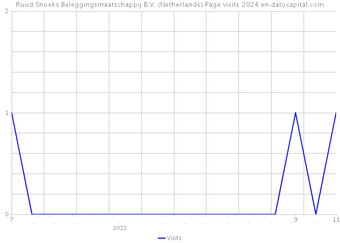 Ruud Snoeks Beleggingsmaatschappij B.V. (Netherlands) Page visits 2024 
