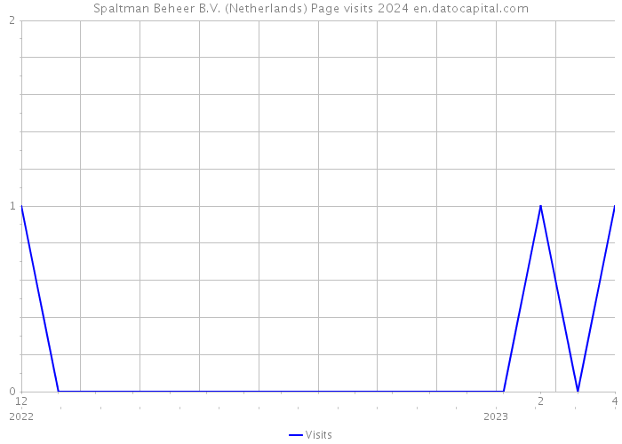 Spaltman Beheer B.V. (Netherlands) Page visits 2024 