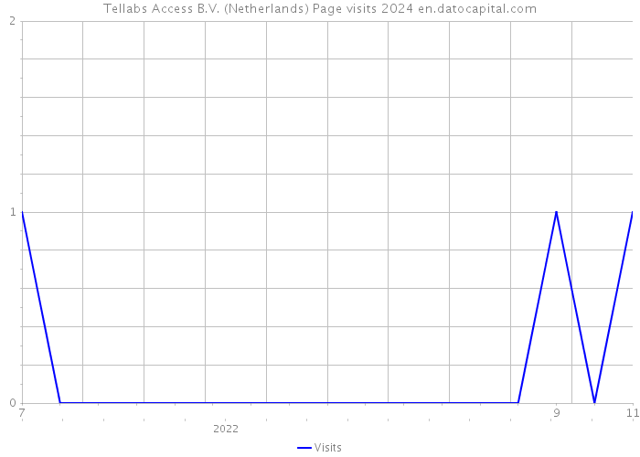 Tellabs Access B.V. (Netherlands) Page visits 2024 