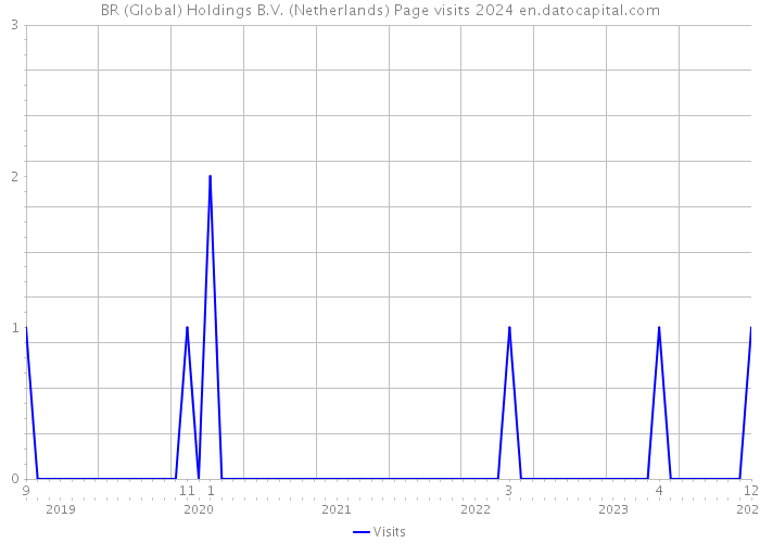 BR (Global) Holdings B.V. (Netherlands) Page visits 2024 