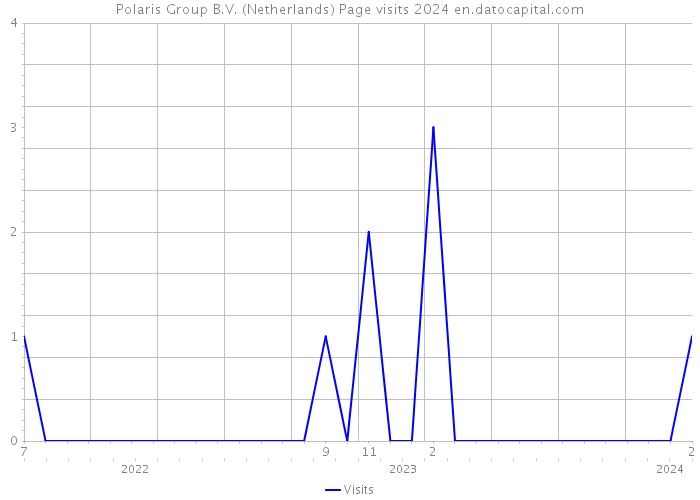 Polaris Group B.V. (Netherlands) Page visits 2024 
