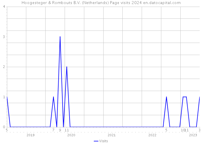 Hoogesteger & Rombouts B.V. (Netherlands) Page visits 2024 