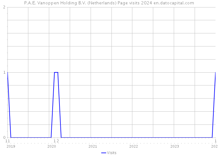 P.A.E. Vanoppen Holding B.V. (Netherlands) Page visits 2024 