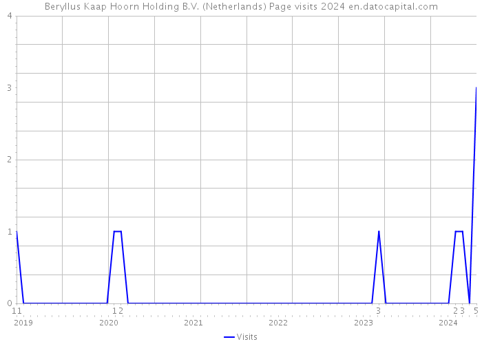 Beryllus Kaap Hoorn Holding B.V. (Netherlands) Page visits 2024 