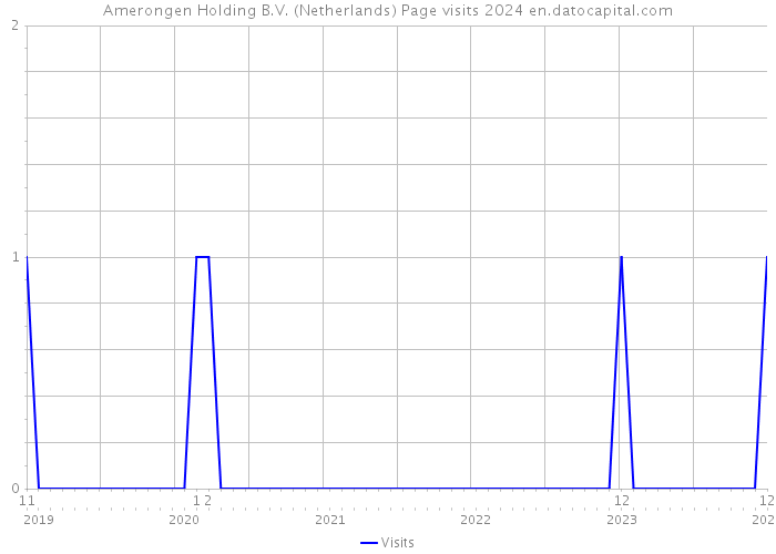 Amerongen Holding B.V. (Netherlands) Page visits 2024 
