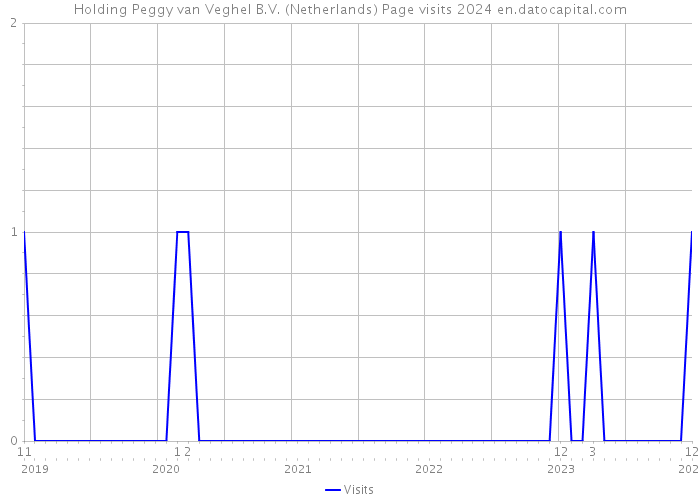 Holding Peggy van Veghel B.V. (Netherlands) Page visits 2024 