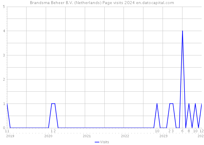 Brandsma Beheer B.V. (Netherlands) Page visits 2024 