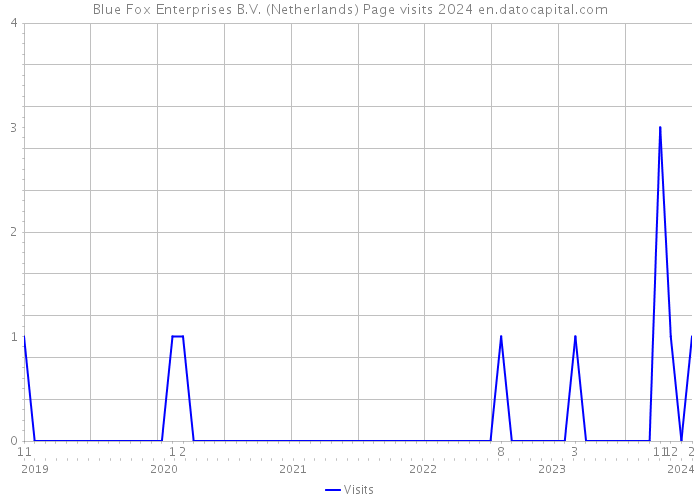 Blue Fox Enterprises B.V. (Netherlands) Page visits 2024 