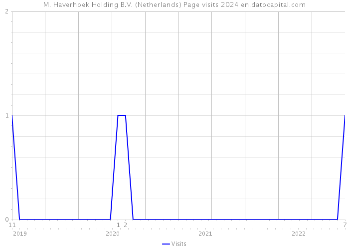 M. Haverhoek Holding B.V. (Netherlands) Page visits 2024 
