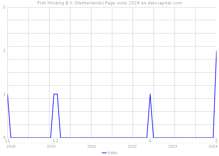 Fish Holding B.V. (Netherlands) Page visits 2024 