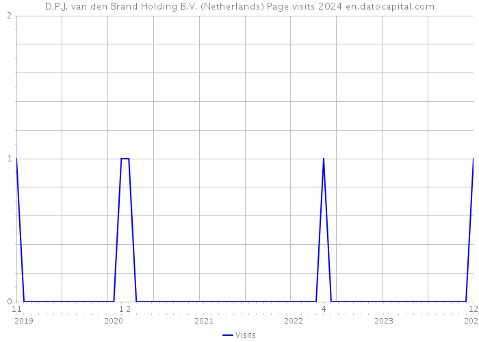 D.P.J. van den Brand Holding B.V. (Netherlands) Page visits 2024 