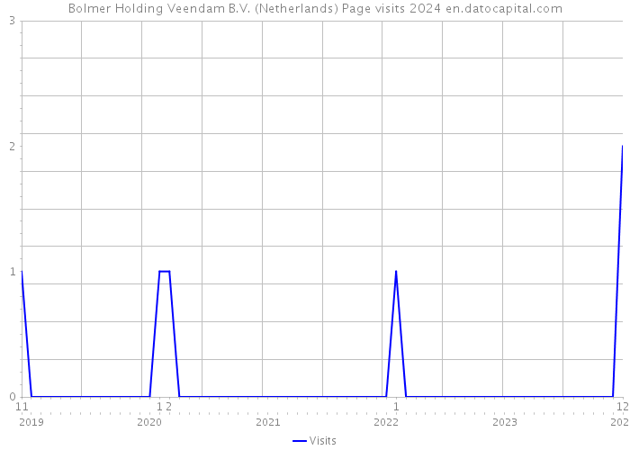 Bolmer Holding Veendam B.V. (Netherlands) Page visits 2024 