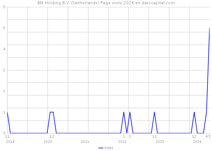BM Holding B.V. (Netherlands) Page visits 2024 
