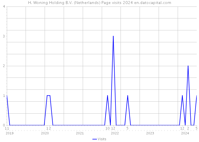 H. Woning Holding B.V. (Netherlands) Page visits 2024 