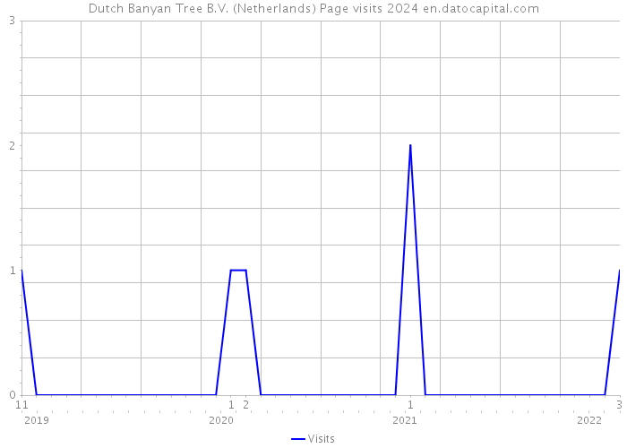Dutch Banyan Tree B.V. (Netherlands) Page visits 2024 