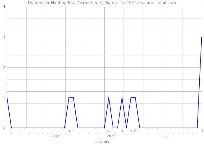 Duinmeijer Holding B.V. (Netherlands) Page visits 2024 