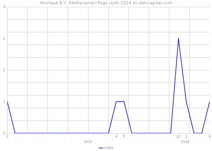 Montauk B.V. (Netherlands) Page visits 2024 