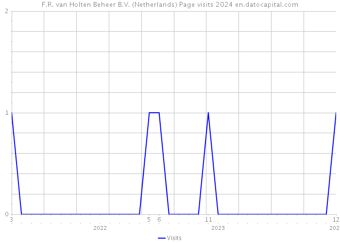 F.R. van Holten Beheer B.V. (Netherlands) Page visits 2024 