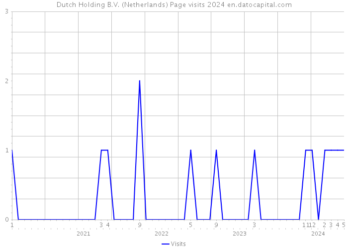 Dutch Holding B.V. (Netherlands) Page visits 2024 