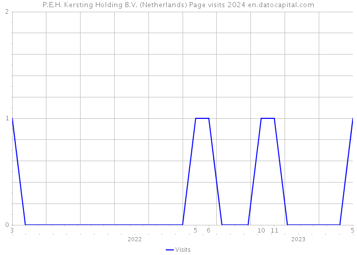 P.E.H. Kersting Holding B.V. (Netherlands) Page visits 2024 